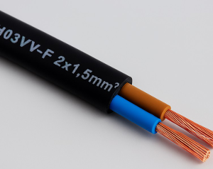 H03VV-F